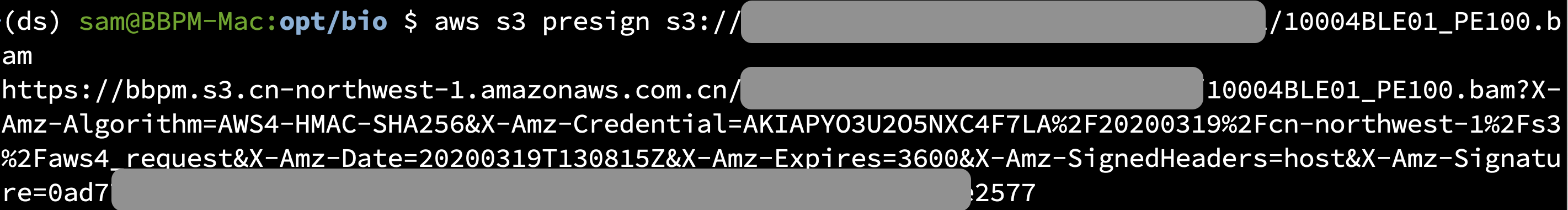 AWS CLI Presign